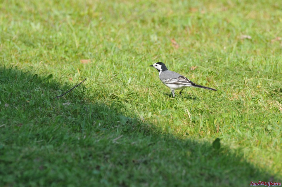 dsc_3359.jpg