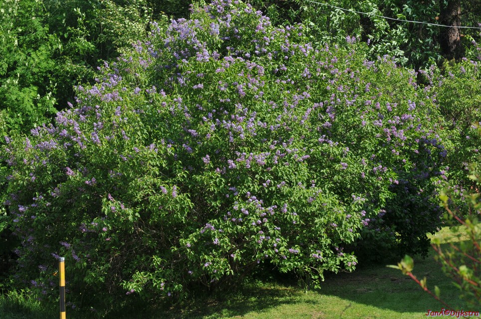 dsc_3362.jpg