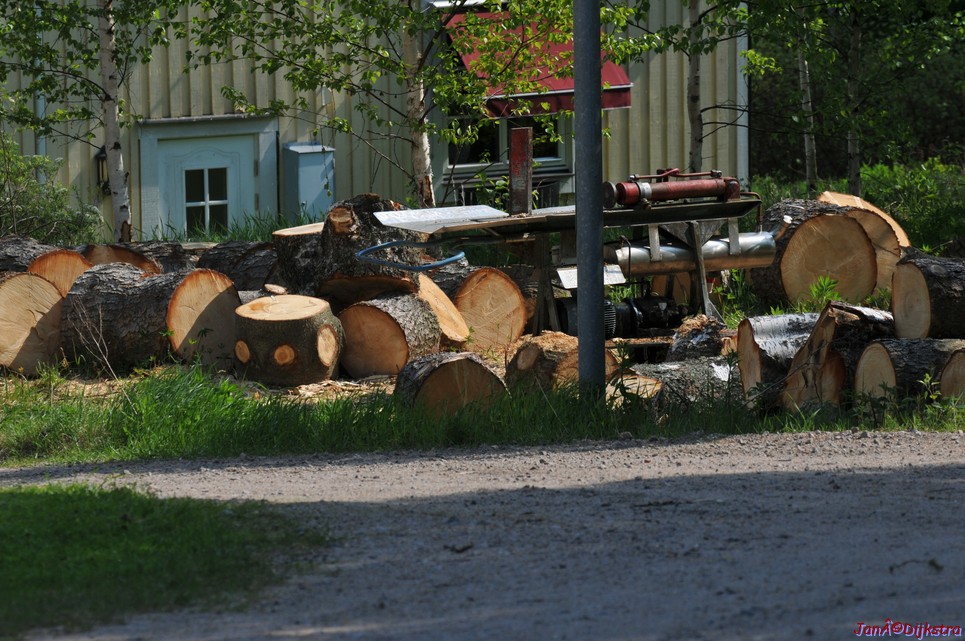 dsc_3363.jpg
