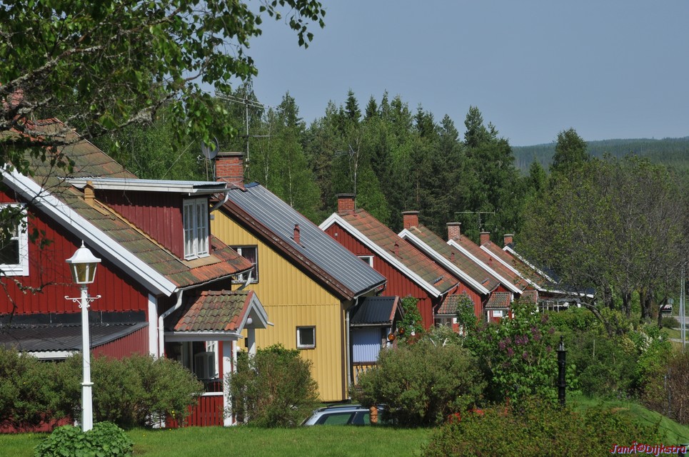 dsc_3370.jpg
