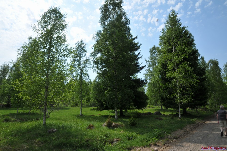 dsc_3384.jpg