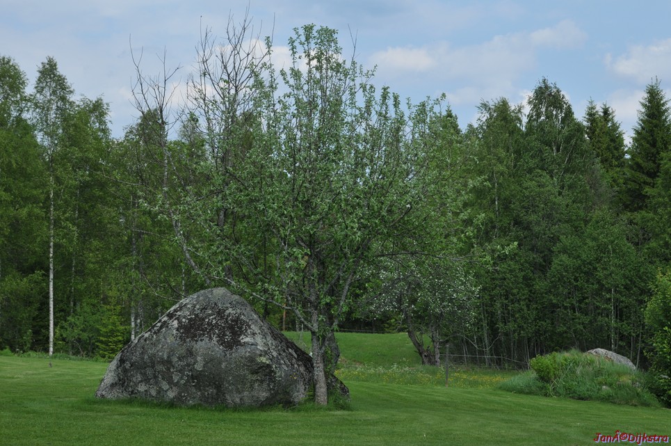 dsc_3386.jpg