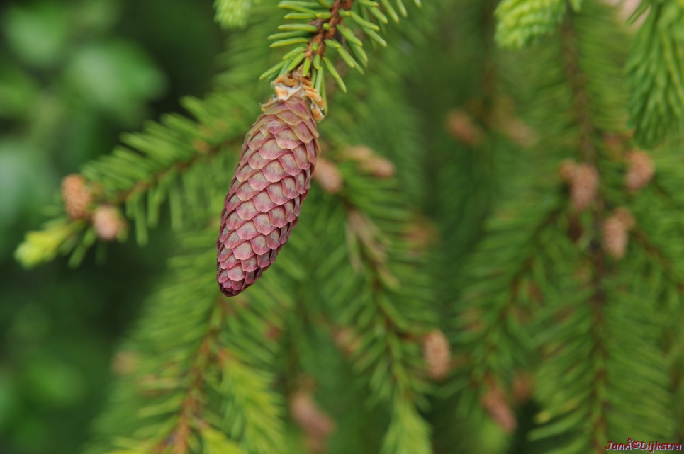 dsc_3389.jpg
