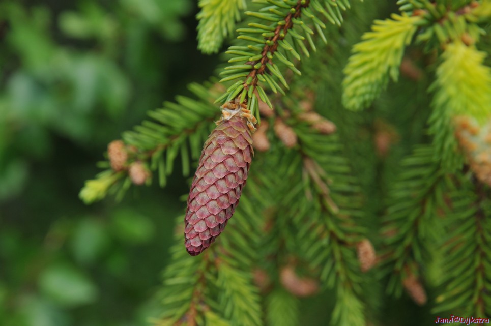 dsc_3391.jpg