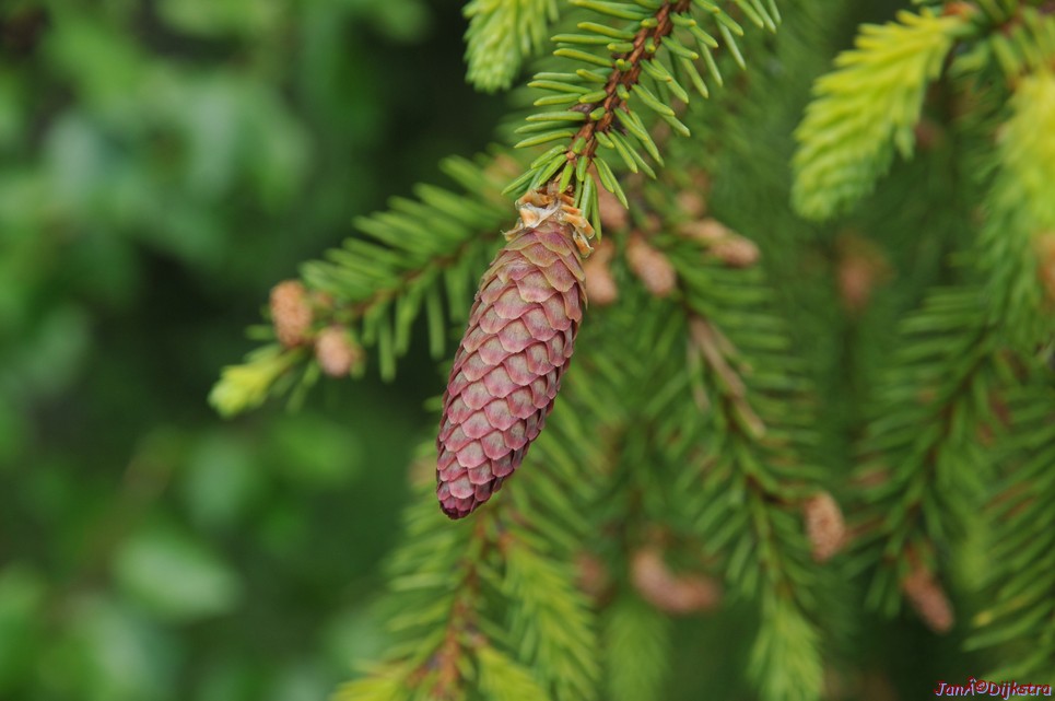 dsc_3392.jpg