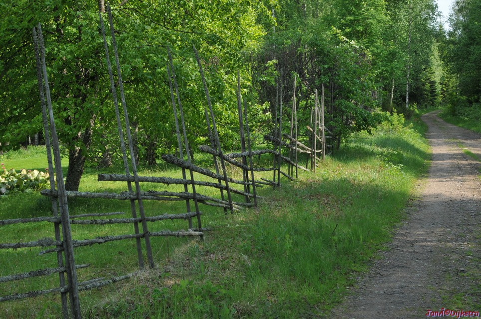 dsc_3397.jpg
