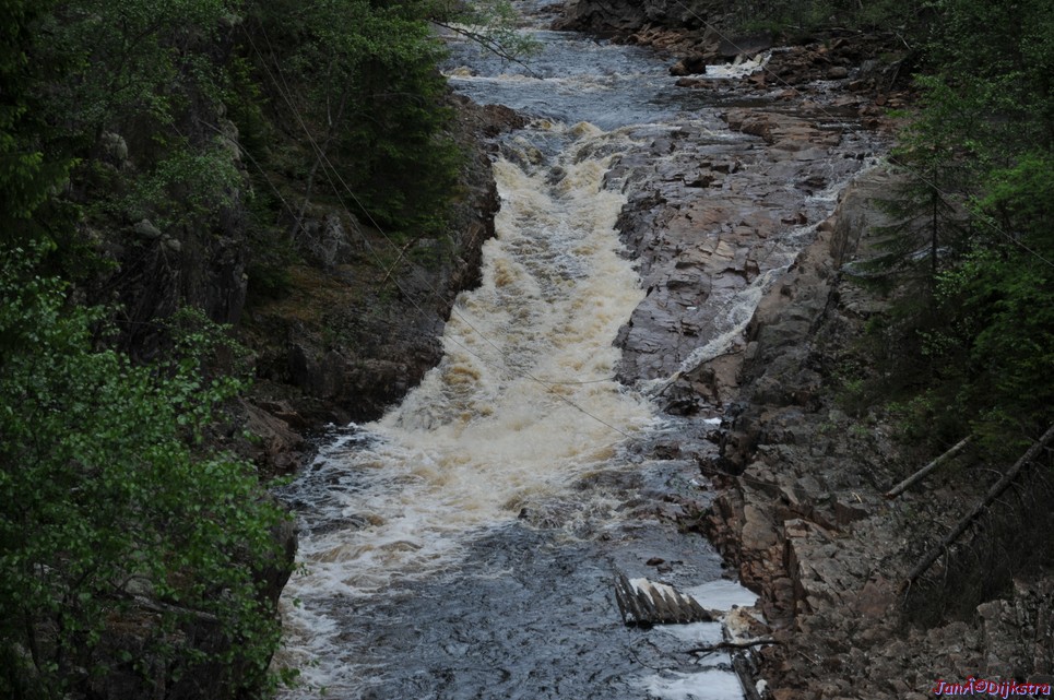 dsc_3408.jpg