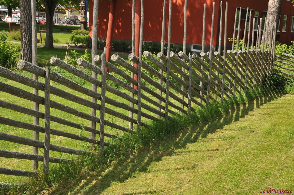 dsc_3546.jpg