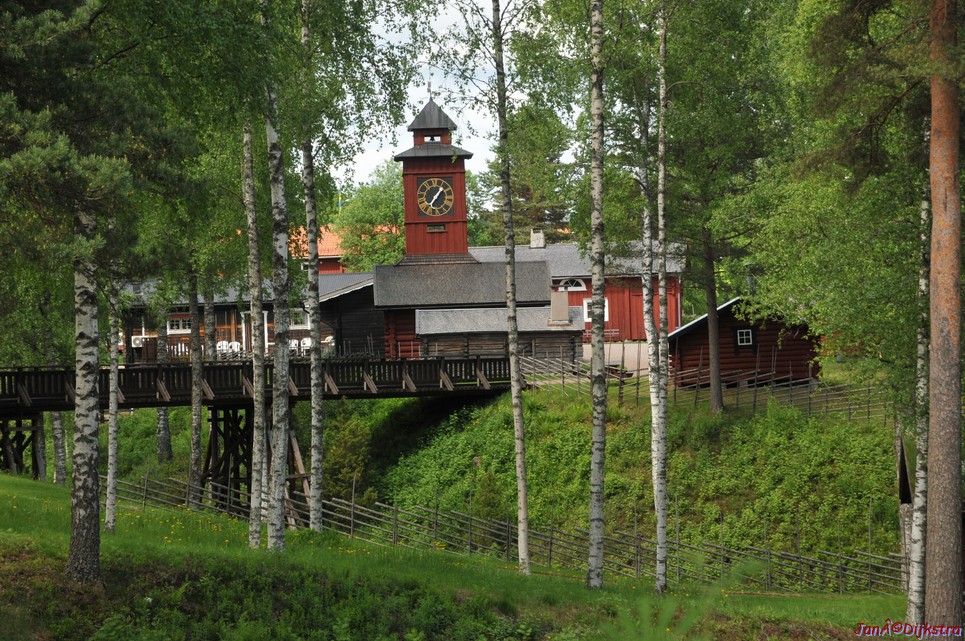 dsc_3550.jpg