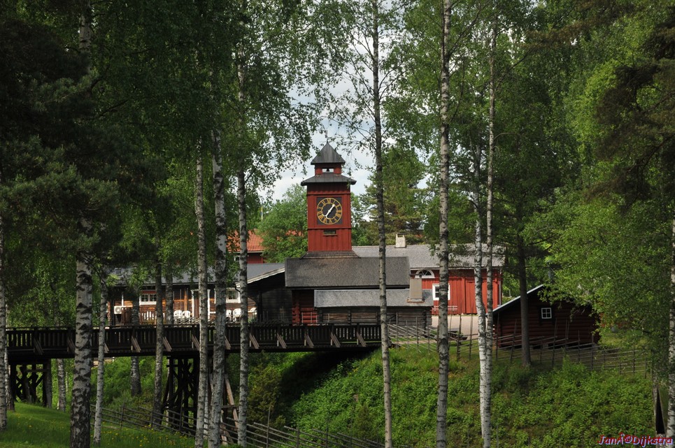 dsc_3551.jpg