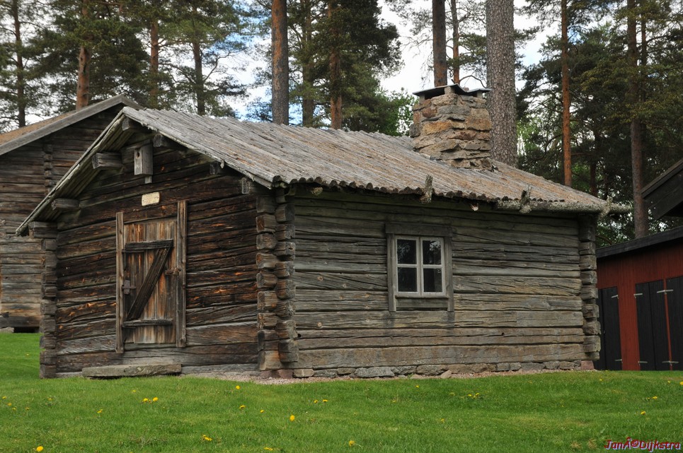 dsc_3555.jpg