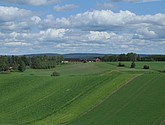 dsc_3301.jpg