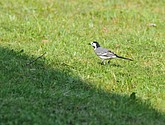 dsc_3359.jpg