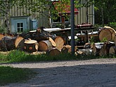 dsc_3363.jpg