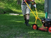 dsc_3365.jpg