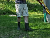 dsc_3366.jpg