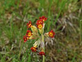 dsc_3377.jpg