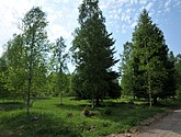 dsc_3384.jpg