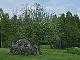 dsc_3386.jpg