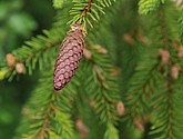 dsc_3389.jpg