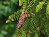 dsc_3391.jpg