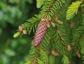 dsc_3392.jpg