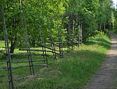 dsc_3397.jpg