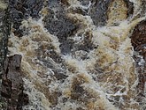 dsc_3405.jpg
