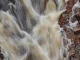 dsc_3406.jpg