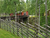 dsc_3563.jpg