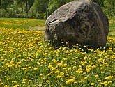 dsc_3578.jpg