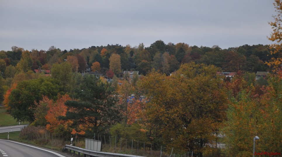 dsc_1337.jpg