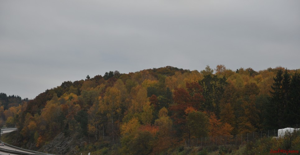 dsc_1342.jpg