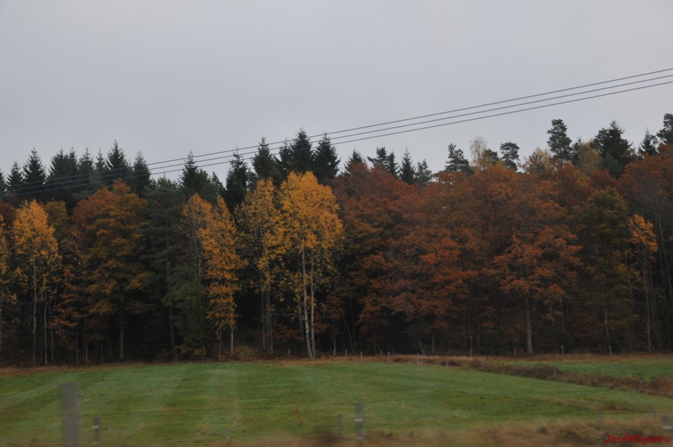 dsc_1348.jpg