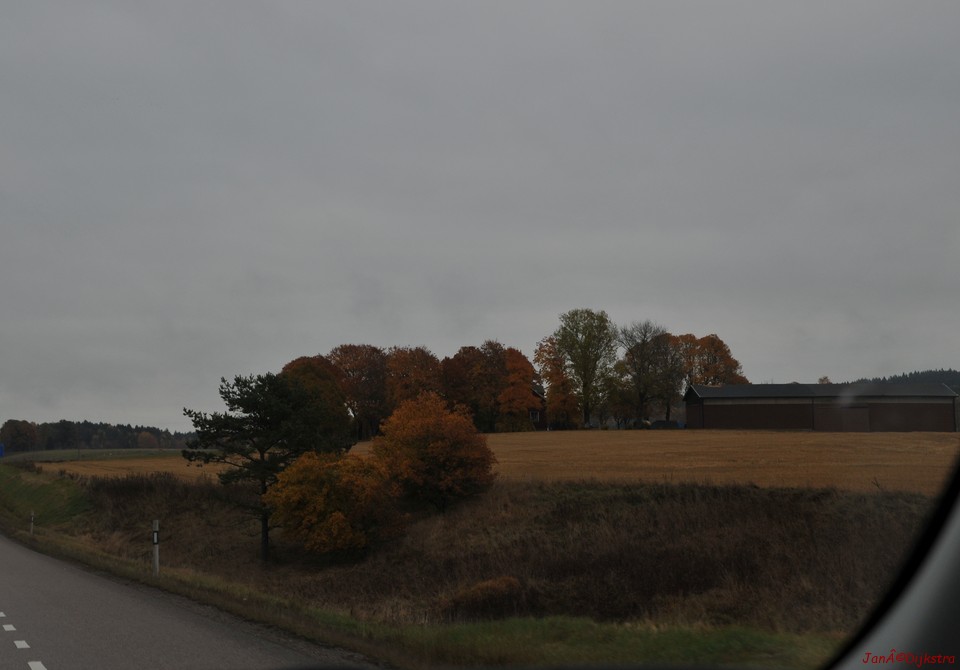 dsc_1351.jpg
