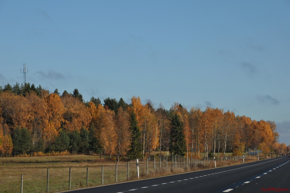 dsc_1355.jpg