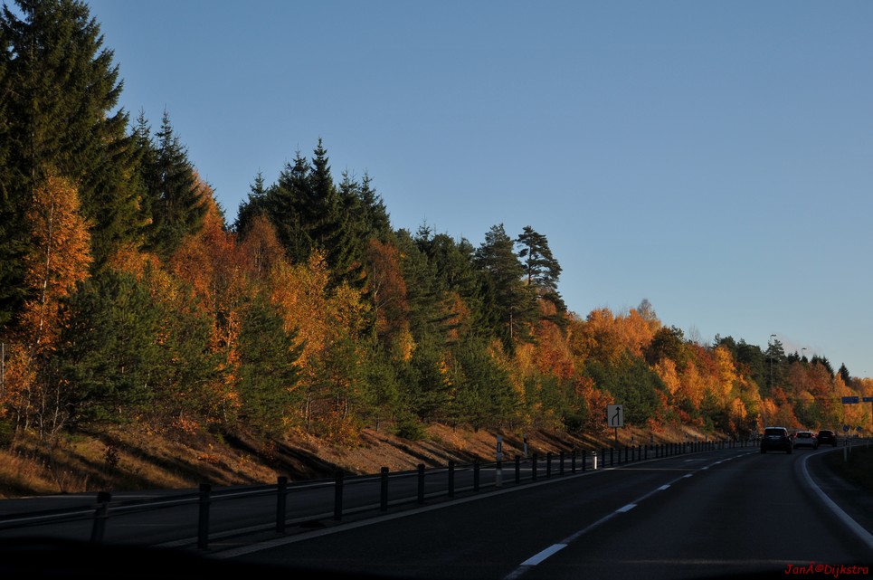 dsc_1356.jpg