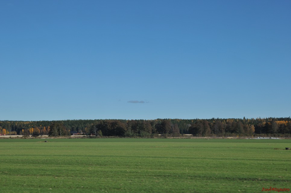 dsc_1372.jpg