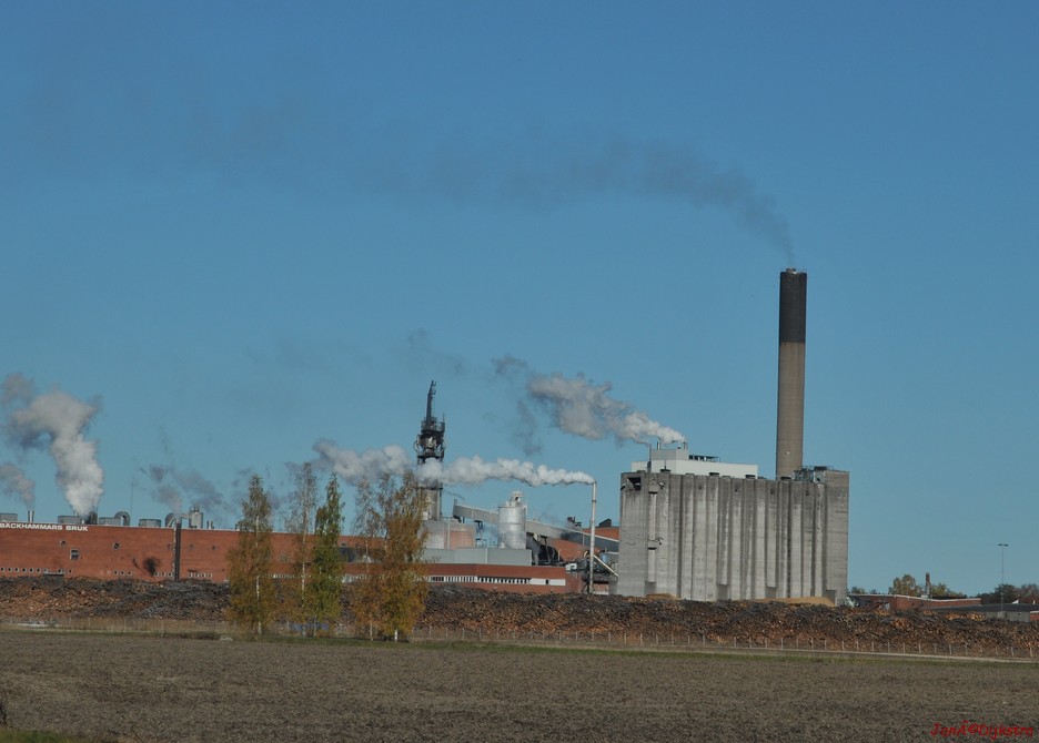 dsc_1374.jpg