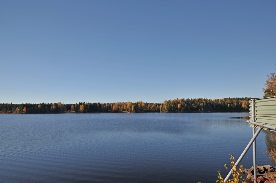 dsc_1381.jpg