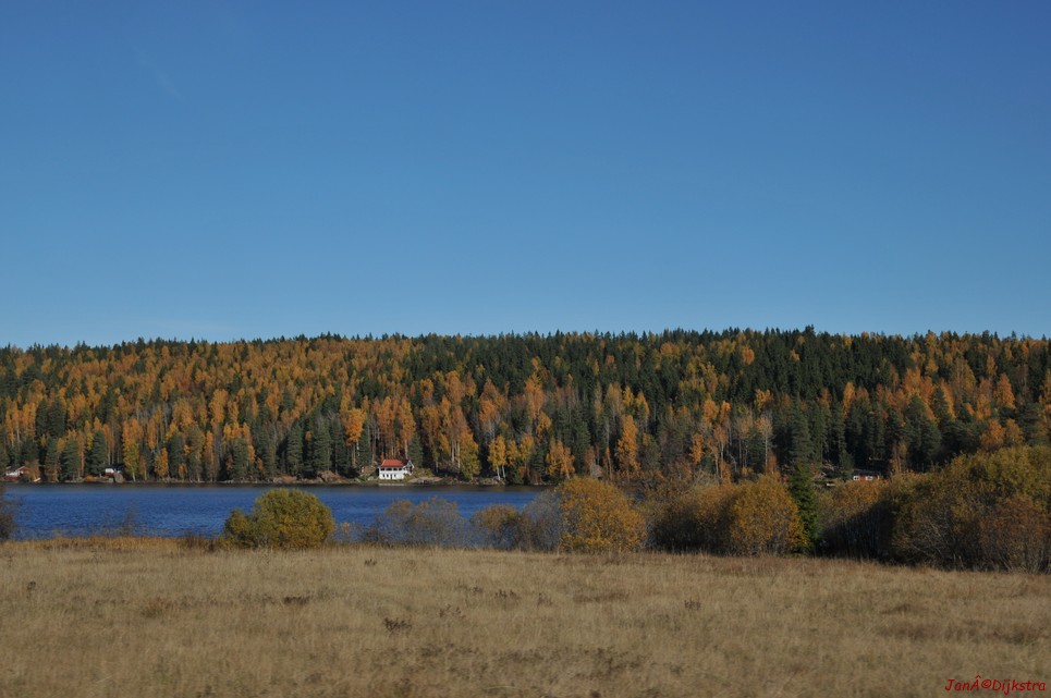 dsc_1387.jpg