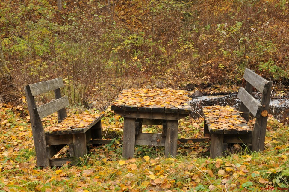 dsc_1416.jpg