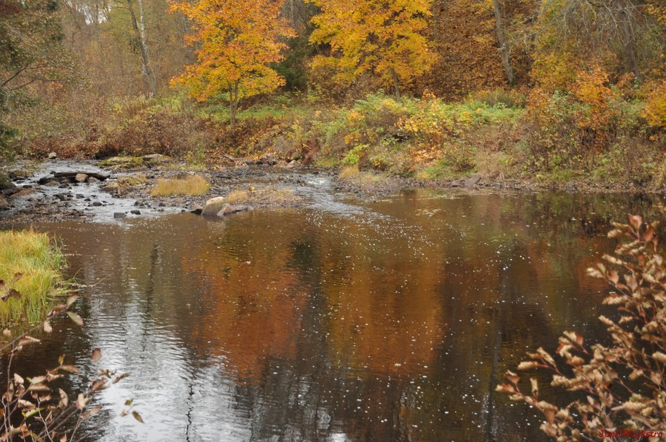 dsc_1426.jpg