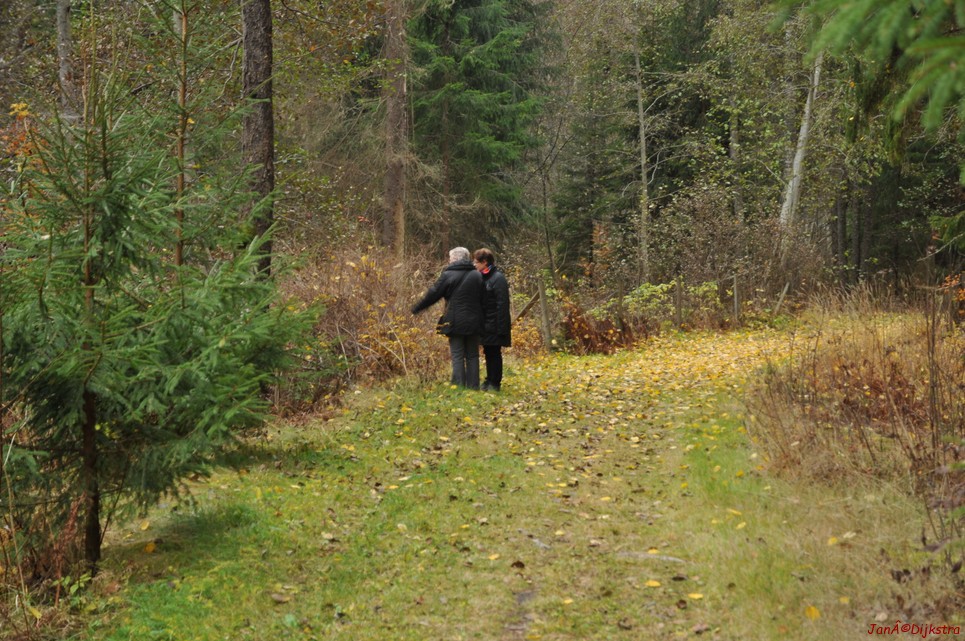 dsc_1451.jpg