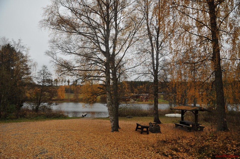 dsc_1456.jpg