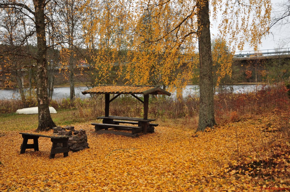 dsc_1471.jpg