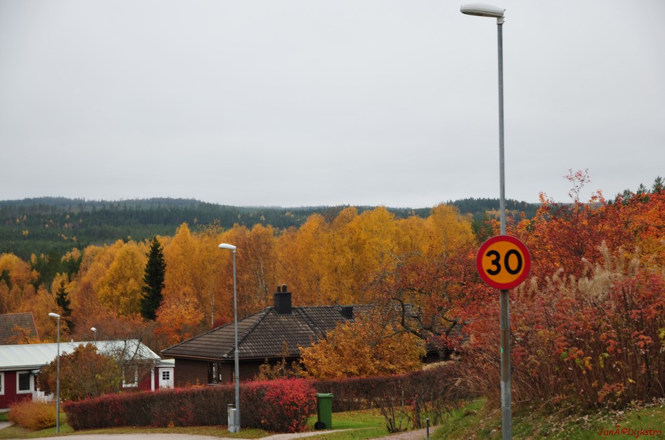 dsc_1478.jpg