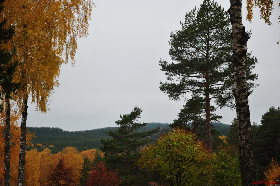 dsc_1481.jpg