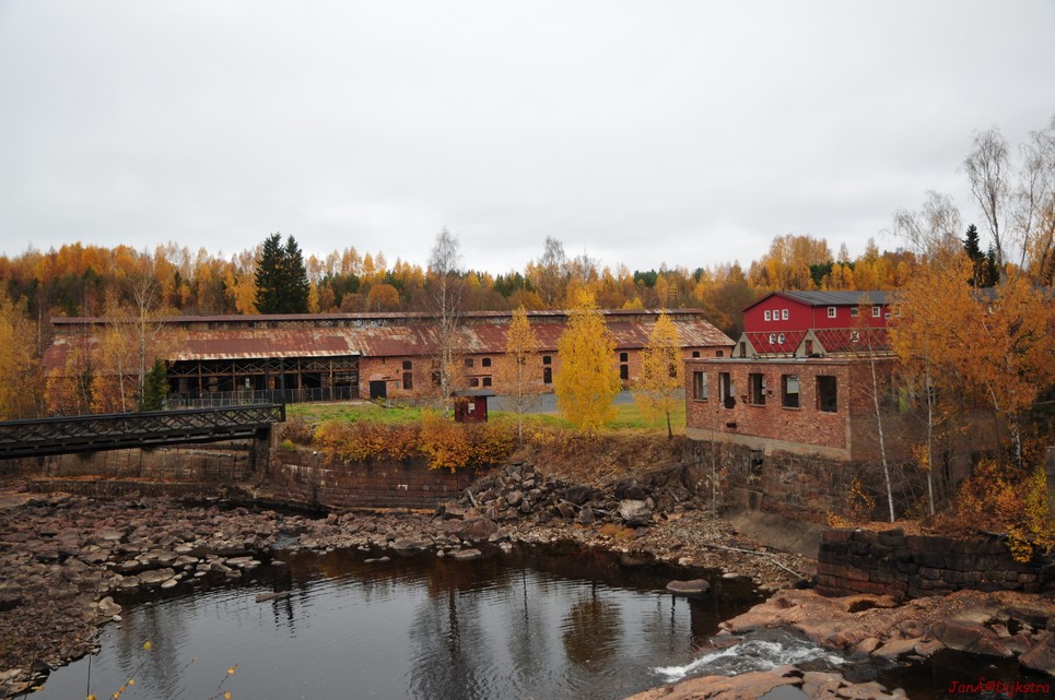 dsc_1503.jpg