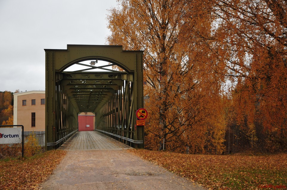 dsc_1517.jpg